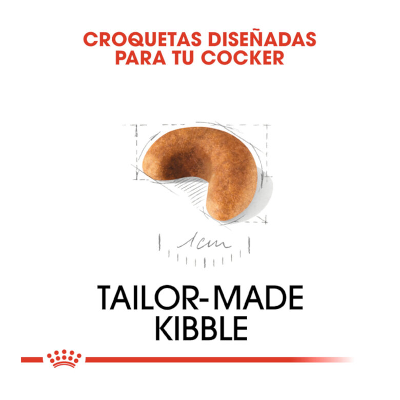 3 kg Royal Canin Puppy Cocker ração para cães,  Imagem número 5 3 kg Royal Canin Puppy Cocker ração para cães, , large Imagem número 5